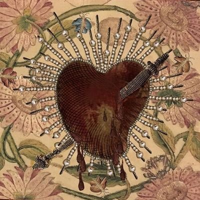 rnostardently's profile picture. account managed by my cat