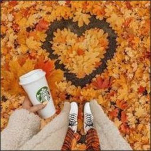 Pradosh19594's profile picture. My attitude is bigger than my fro. 🎀🌪️💁‍♀️