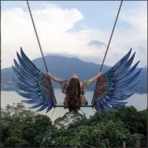 SvanssonSv57094's profile picture. Find beauty in the small things. 🔍🌸💎