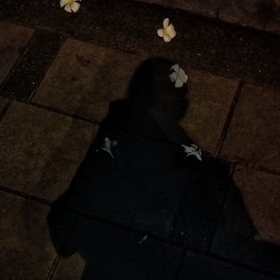 hoesmeray's profile picture. 