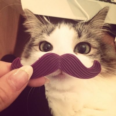 haumonie's profile picture. 