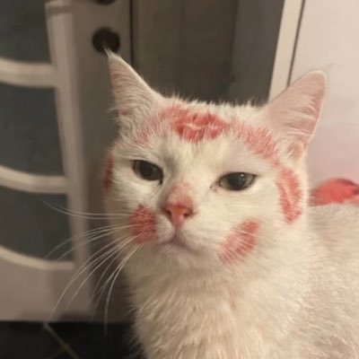 minimiorangee's profile picture. 내가당신을신뢰해