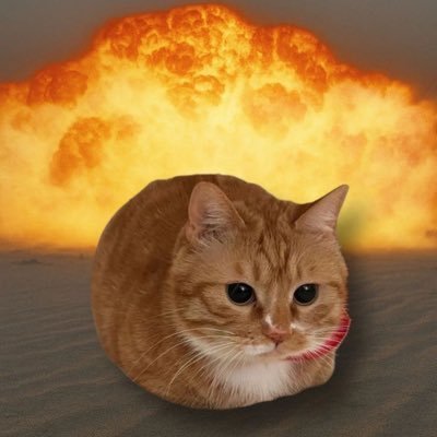 jxjifuji's profile picture. ♡´･ᴗ･`♡ ⋈⋆⋆𓍼⋆ꮺଘꗃ