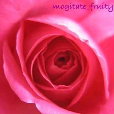 hiro_cocoro's profile picture. 解除されました→アカウントロック解除までエレカシ、宮本浩次と日常について語ります。(テニス垢のフォロワー様申し訳ありません)