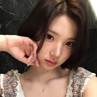 trestedl's profile picture. 