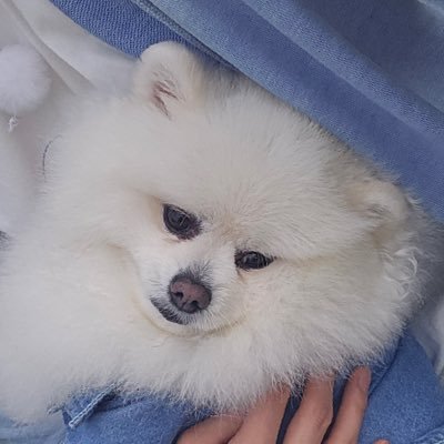 tart_bin's profile picture. 20대 취준생 ㅣ 갓생러 지망 ㅣ 재테크, 독서, 드라마, 케이팝, 일본어 ㅣ 수제트는 하이라이트✨