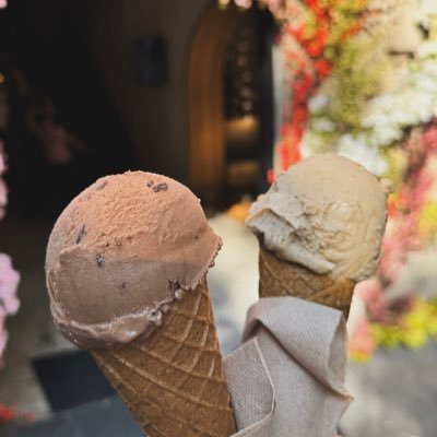 hdz_alejandro23's profile picture. 