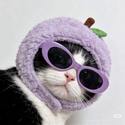 i_Behindyou's profile picture. 