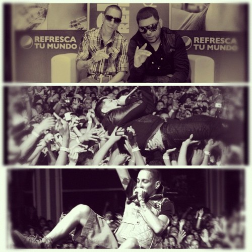 BabyRasYGringE's profile picture. Queremooos a los mejores, con mas talento, los loboos ... @BabyRastaGringo :DD vamos a hacer todo lo posible para q vengaan! :*