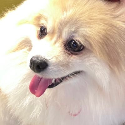 prowaty's profile picture. 