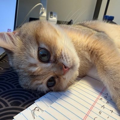 acdobdler's profile picture. 