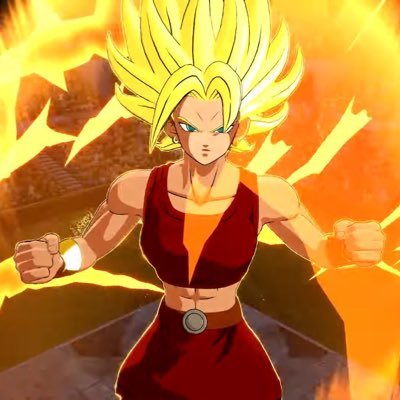 ProjectYoRHa_'s profile picture. “There’s gotta be something after.”| #ZFighters|