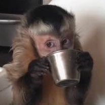 _Biakw67's profile picture. A verdadeira arte é só um reflexo de quem a contempla ❌