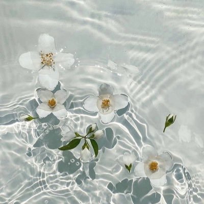 mamefatou_d's profile picture. 🇸🇳