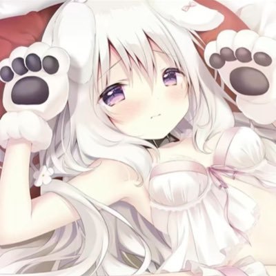 docinhosluv's profile picture. 