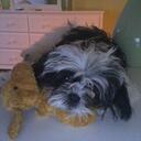 casey wooten - @CaseyWooten247 - Twitter