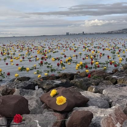 SorsdoM's profile picture. 