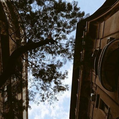 ManalAh58182672's profile picture. كُل من حاول الإقتراب تلاشى :))