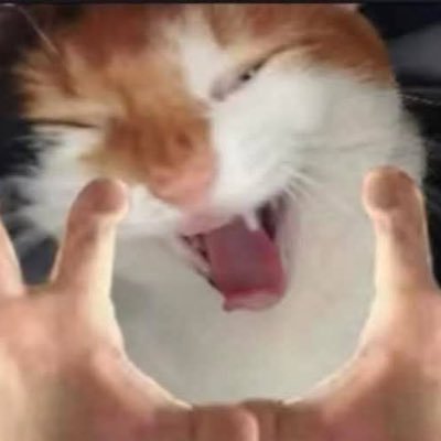 xxxlxsxx's profile picture. 