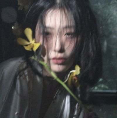 caramelodra's profile picture. 