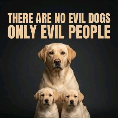 Been120109's profile picture. life is Good for you to understand