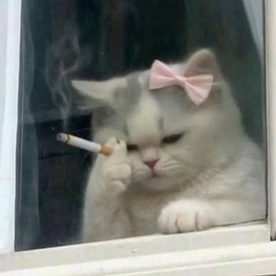 biblicalnug's profile picture. terminally chill