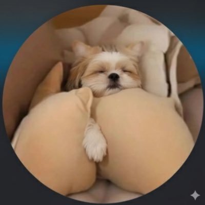 ofertasprapobre's profile picture. threads virais da shopee