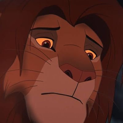 sunflowerslore's profile picture. It doesn't have to make sense if making sense means going with the flow.
I think I'm a hardcore structuralist.