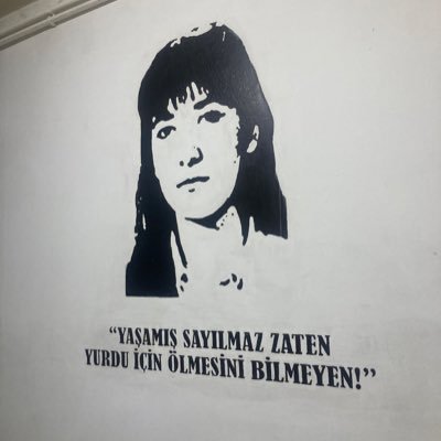 Leyllaalaa's profile picture. 