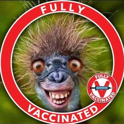 Wahoo_kayak's profile picture. 