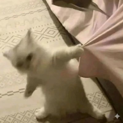 Flingsterhooman Profile Picture