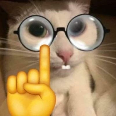 here102846's profile picture. 내가날라댕김서 비트찍고 춤출때는 오버워치가재밌는줄알았지?