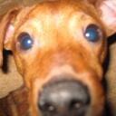 Douglas Kruse - @simpleprocess - Twitter