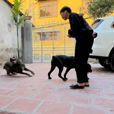 TiezD141's profile picture. Love Dogs