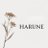 Harune