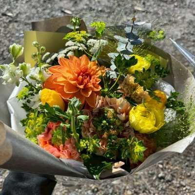 tu_wgn's profile picture. @7qs8L╏@zjpsy╏@nasu_b74