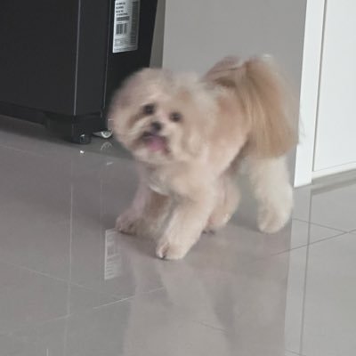 나츠코なつこ🍡