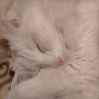 Feerzinha16's profile picture. カフェ巡り大好き。家族と過ごす時間が一番大切。毎日を大切に、笑顔で過ごしたいです。