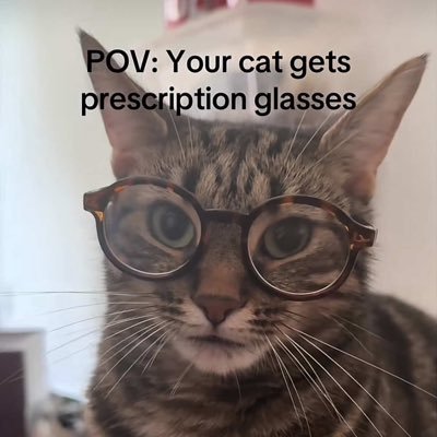 omggghiii's profile picture. healing ripples 🫧🪷 sensitive heart 🧼 put THAT in my pussy📍 ultra puritan 🖇️ religious psychosis 🪽