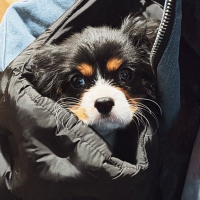 TOP_MOETAIKWA's profile picture. Always feel free to unfollow | น้องจิ๊บคือลูกสาว ลูกสาวแปลว่าที่หนึ่งในใจ | 小猫咪 | ลัทธิ merry merlot | คุรพี่รู้หรอว่าหนูเมนใคร #หยอนปล่อยต่อ #หยอนรีวิว