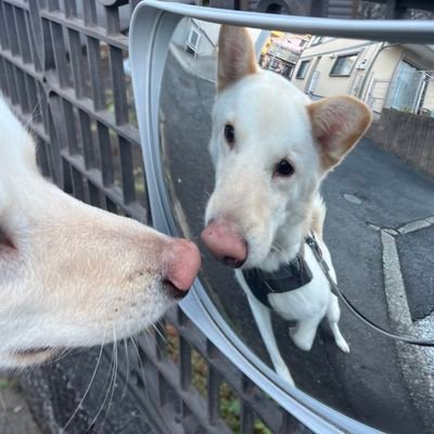 gadi343051's profile picture. 남자애들끼리 노는거 왤케재밋음