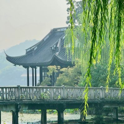 蛙蛙纯傻