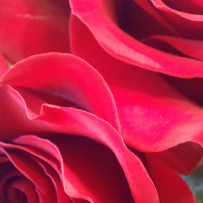 MTefft56703's profile picture. 