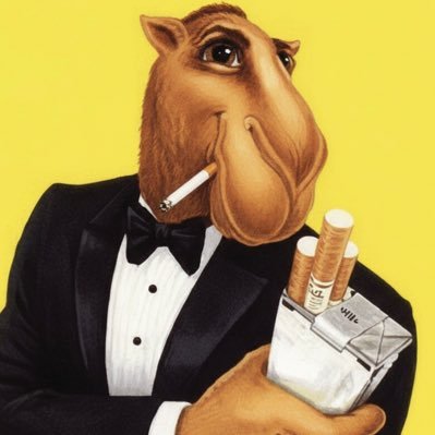 callistenia's profile picture. Sont des mots qui vont tres bien ensemble — economista/FEAUSP