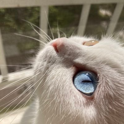 flavor_mm's profile picture. 성인 | 그저 구독..