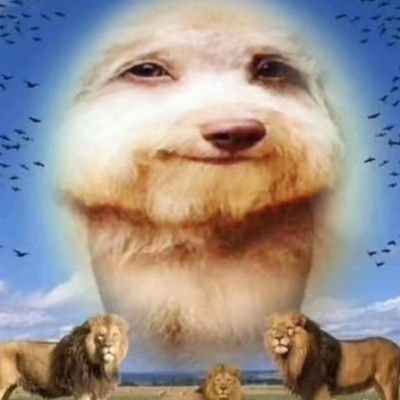 TooGrizli's profile picture. TooGrizli on roblox.