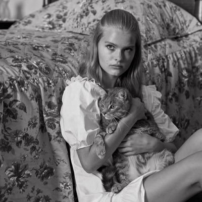 swansilhouette's profile picture. 