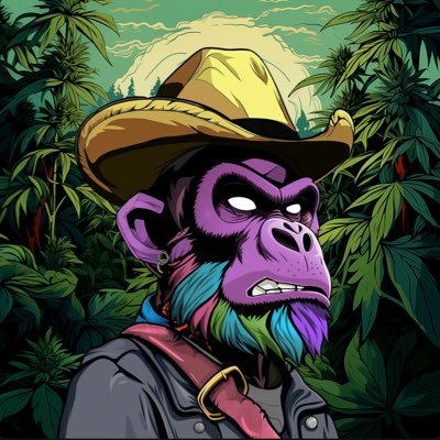 OluwapelumiDad4's profile picture. ♠️ Playing Life like Poker — one brave call at a time. 💎 NFT Collector | 🃏 Moderator | ₿ Crypto Native 🔰 YBNL | 🔴 MUFC