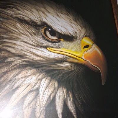 Fernand65605802's profile picture. @MeuTimao
@fieltorcedor 
@Corinthians
@CorinthianoNoti
@CanalPapoFiel
@mano97fm
@netopistola10
@chicolangreal
@leticiabeppler
@UlissesCosta31
@wcasagrandejr