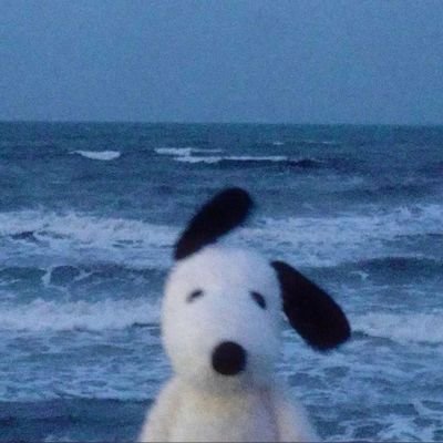 talol_222's profile picture. 119•008•119
🍯🪞💛📿